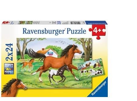 RAVNSBURGER 088829 -  WORLD OF HORSES 2X24 PIECE PUZZLE Fashion