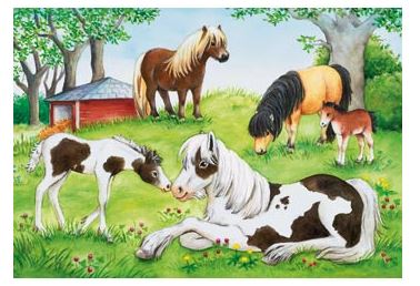 RAVNSBURGER 088829 -  WORLD OF HORSES 2X24 PIECE PUZZLE Fashion