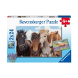 RAVENSBURGER 051489 -  HORSE FRIENDS 2x24 PIECE PUZZLE Online Sale